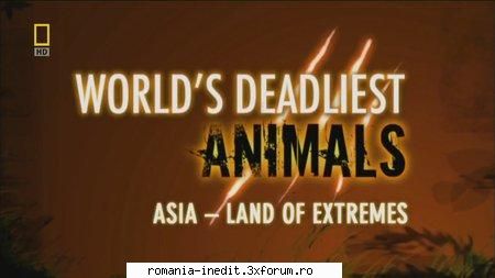 nat geo world's deadliest nat geo world's deadliest animals asia  hdtv ]english, russian 720p