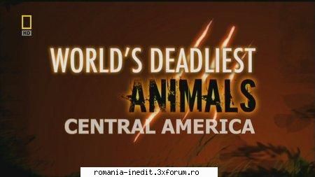 nat geo world's deadliest animals central america national geographic world's deadliest animals: