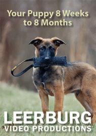 [vt] leerburg's puppy week months [dresaj canin] [vt] leerburg's puppy week months [dresaj english