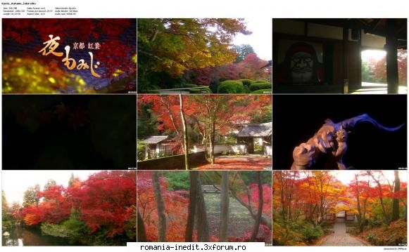 kyoto autumn color japanese, english 01:23:38 1280 720 29.970 fps h264 6957 kbps mkv ac3 2.0 320