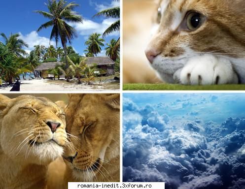 60 jpg | ~1600 x 1200 pixels | 38 mb

 

 

  the best wallpapers pack №56