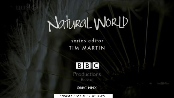 [bbc] the eagle the orinoco (2010) the the orinoco (2010) bbc natural world din orinoco versiunea