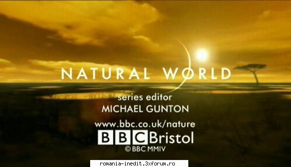 [bbc] amber time machine (2004) amber time machine (2004) bbc natural world versiune standard xvid,