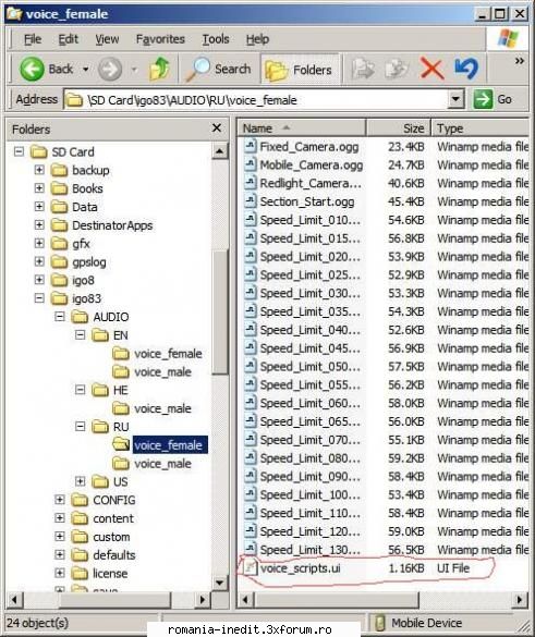 [other] igo8 dem, language, voice, buildings, speedcams, sys.txt, etc bogdan10 pentru gasesti pentru