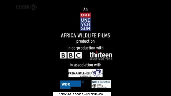 [bbc] africa's dragon mountain (2010) africa's dragon back (2009) bbc.hd natural world hdtv