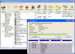 internet download manager 6.05 build final descriere internet download download manager este