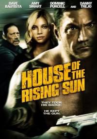 house the rising sun (2011) ray, fost poliţist, început viaţă nouă, angajat unui club noapte,