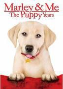 marley and the puppy years 2011 dvdrip xvid-lazi comedy film marley back for more fun, and this time