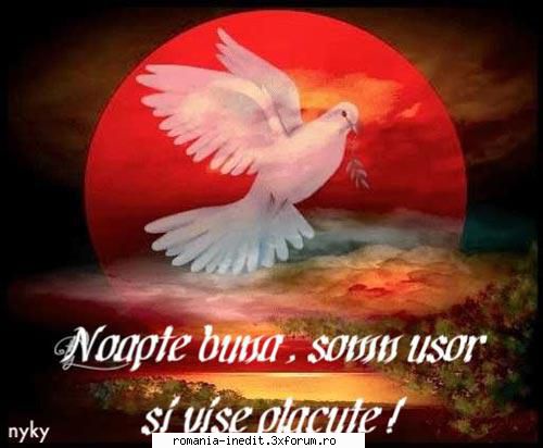 buna dimineata! noapte buna!