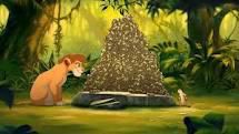 lion king  lion king 3