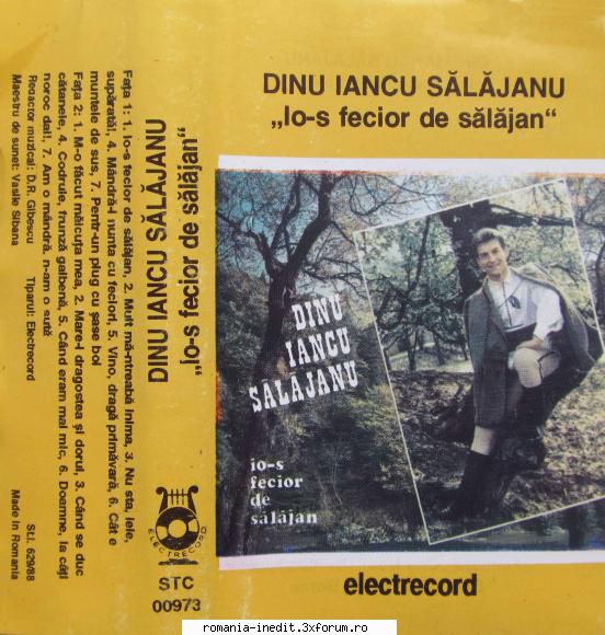 dinu iancu salajanu io-s fecior salajan stc 00973 dinu iancu salajanu io-s fecior  stc fecior