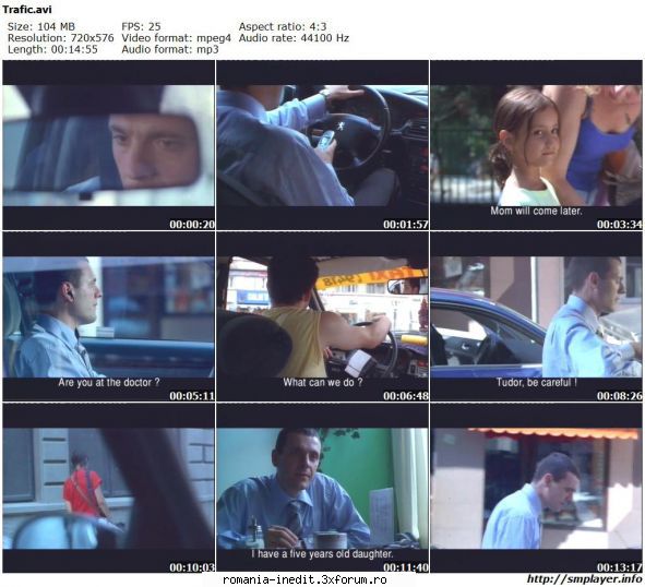 trafic (2004) (scurt metraj)