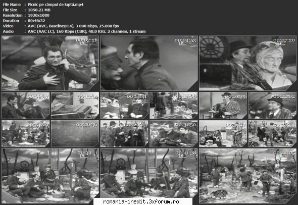 pic-nic cmpul luptă (1979) (teatru tv)