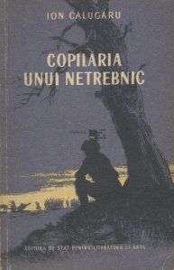 romana bună seara! ion unui v.1.0 prin scan