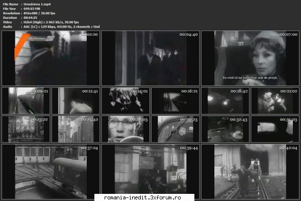 urmarirea (1971) (serial tv)