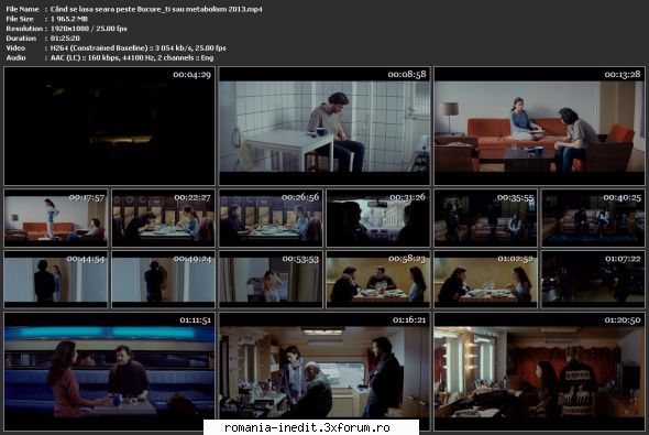 c�nd lasa seara peste bucuresti sau metabolism (2013)