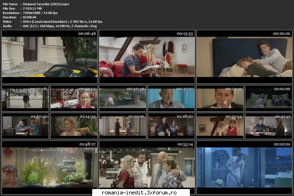 dirijorul tacerilor (2022) info