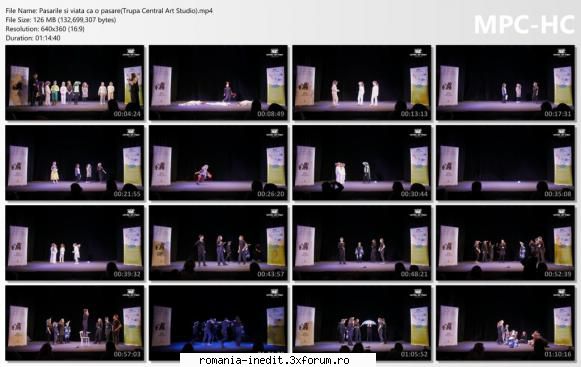 pasarile viata central art studio)