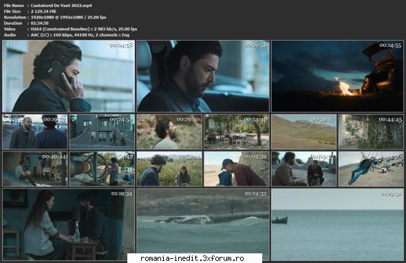 cautatorul vant (2021)