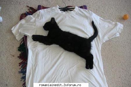 vand tricou original puma :))  