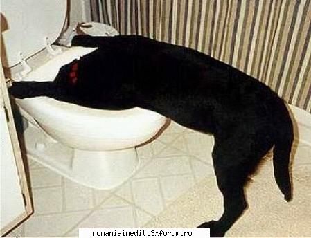 im never drinking again  