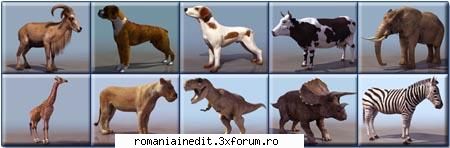 graphics models & c4d 13,3 2,67 models: textures: