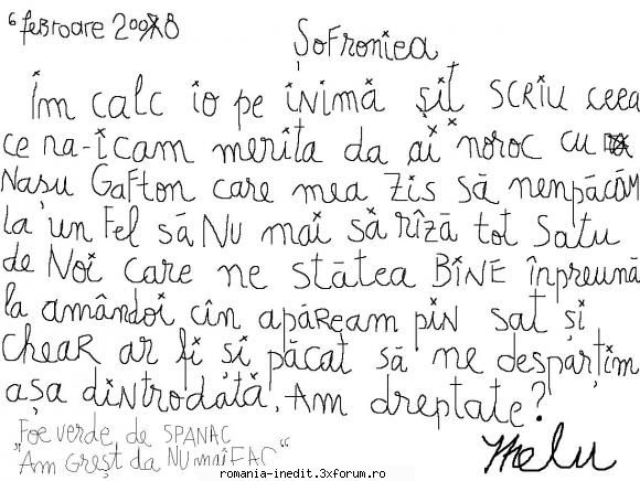 stilul epistolar 2008 mici aduc necazuri mari