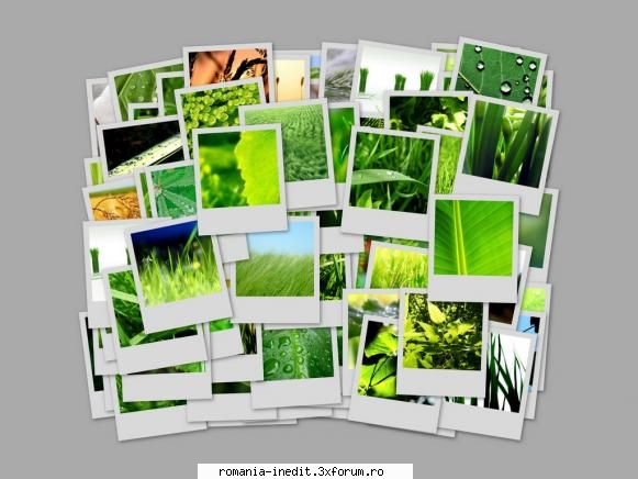 un colaj cu green wallpaper ptr o mai bune wallpaper green