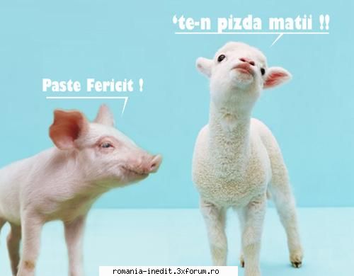 paste fericit!      