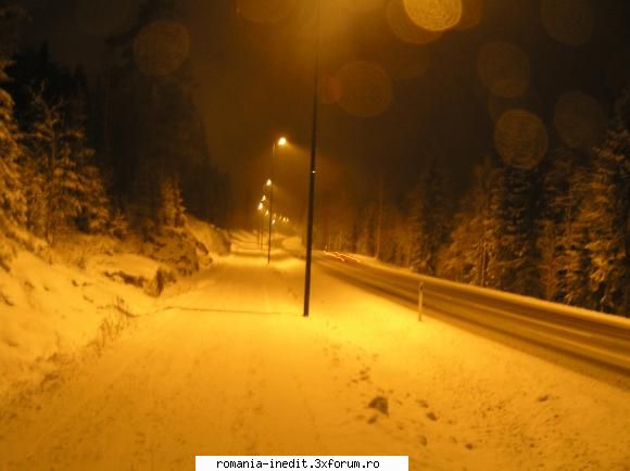 norvegia cosuri gunoi mijlocul padurii, autostrazi iluminate schi linga oslo