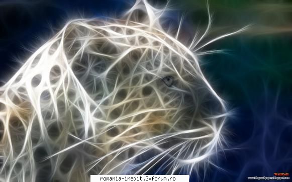 15 jpg | 1680*1050 | 4.09  :hi: 
or
  :hi: 
or
  :hi: 
or
  :hi: wallpapers - art of titusboy