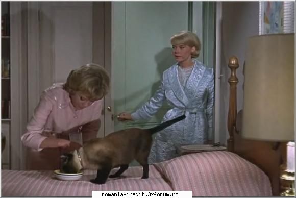 that darn cat (1965) subtitrare inclusa