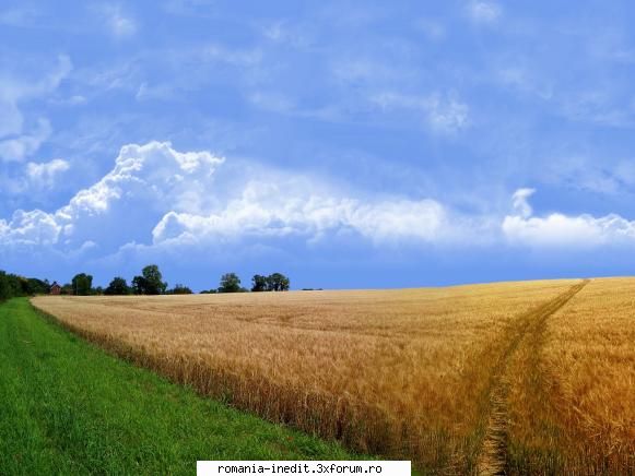 :hi: beautiful landscapes 1600x1200