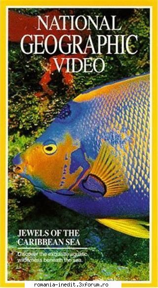 national geographic jewels the caribbean sea dvdrip, hour-long jewels the caribbean sea actually