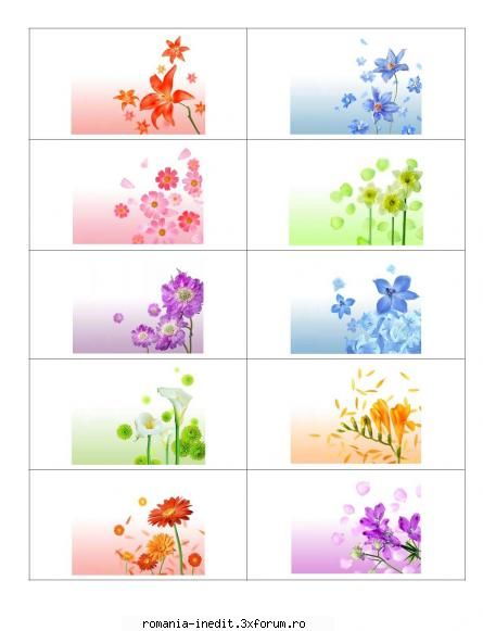 1,50 mb | 10 files | .jpg

  flowers