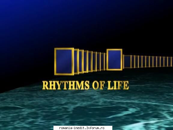 national geographic rythms life (1995) dvdrip xvid rhythms life (1995) dvdrip xvid page.a nature