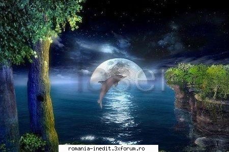 this amazing 3d gives you a rare chance to observe dolphins. the great movement of the dolphin and