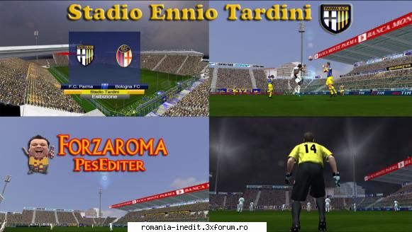 stadionul din parma pentru pes V.I.P.