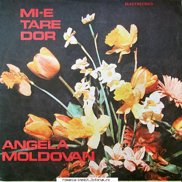 1989 - Angela Moldovan - Mi-e tare dor - 1989 - Angela Moldovan - Albume MP3 romanesti - Romanian MP3 albums