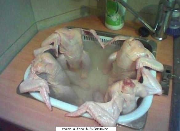 4 chicks in jacuzzi - EncantadoR - Funny