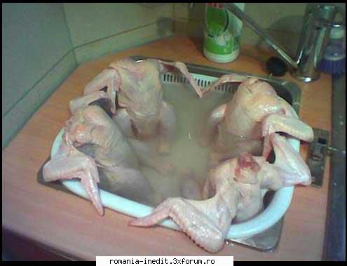 4 puicute la jacuzzi - EncantadoR - Funny