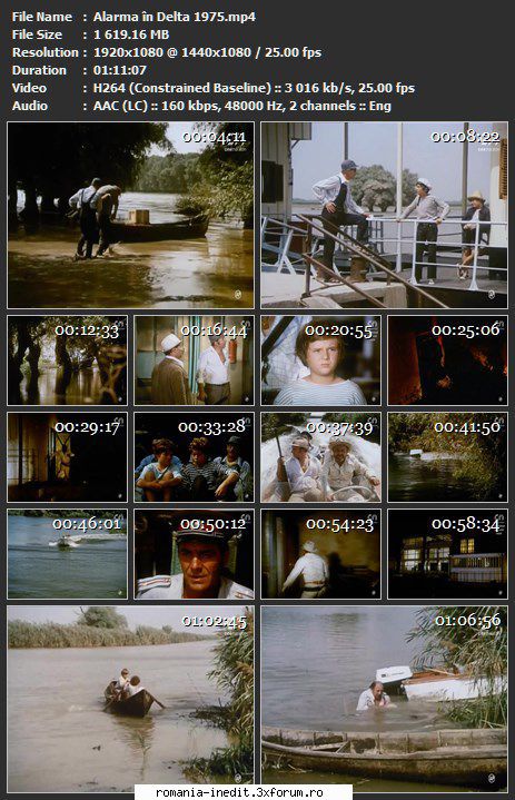 Alarma in delta (1976) - sasadoru - Filme rom�nesti - Romanian Movies
