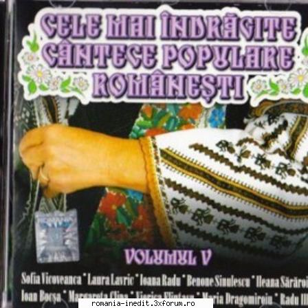 Albume muzica populara,lautareasca si de petrecere FLAC (LOSSLESS) - anca-jo - Muzica populara romaneasca - Romanian folk