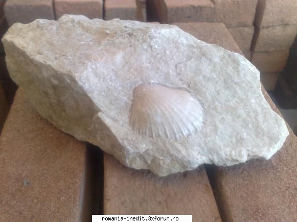 Amazing !! - Deci aceste pietre le-am gasit la munca - Off Topic