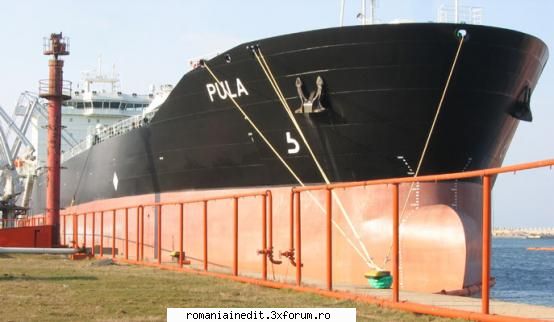 Ancorata la noi in port - beavis_ - Funny