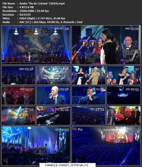 Andra �Vis de Crăciun� Sala Palatului(2024) - sasadoru - Spectacole romanesti - Romanian performances