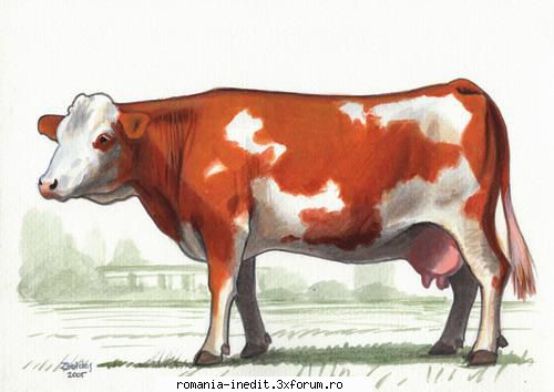 Animale domestice-imagini - nicoleta_bh - Carti pentru copii - Books