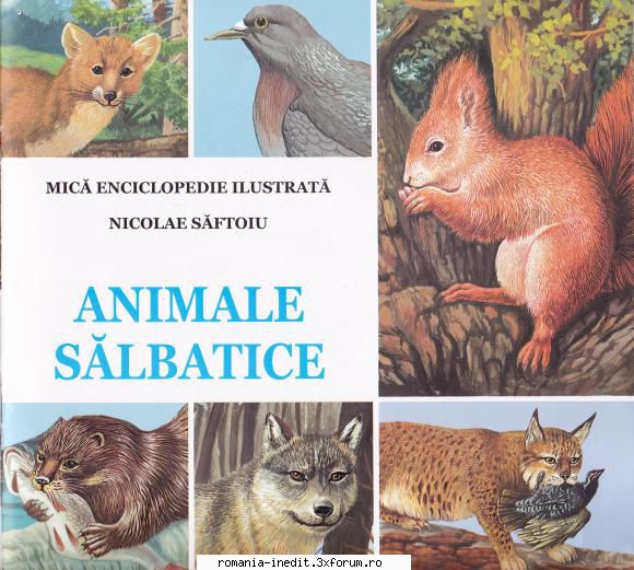 Animale sălbatice - mică enciclopedie ilustrată - nicoleta_bh - Carti pentru copii - Books