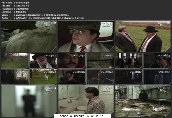 Aranca (1996) (Teatru TV) - sasadoru - Teatru rom�nesc - Romanian Theater