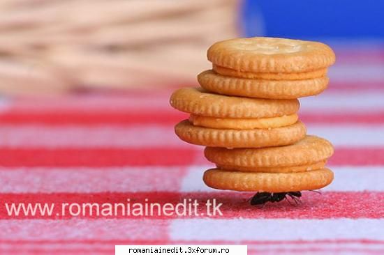 Asta inseamna sa muncesti........... - Asta inseamna sa muncesti - Funny